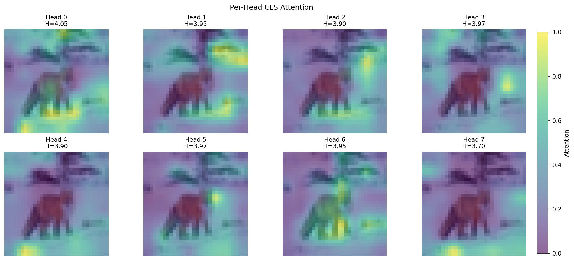 Nano Attention Heads